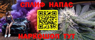 гидра Бузулук