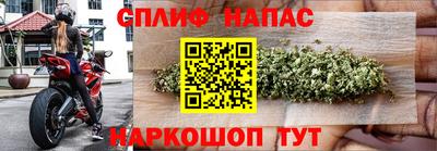гидра Бузулук