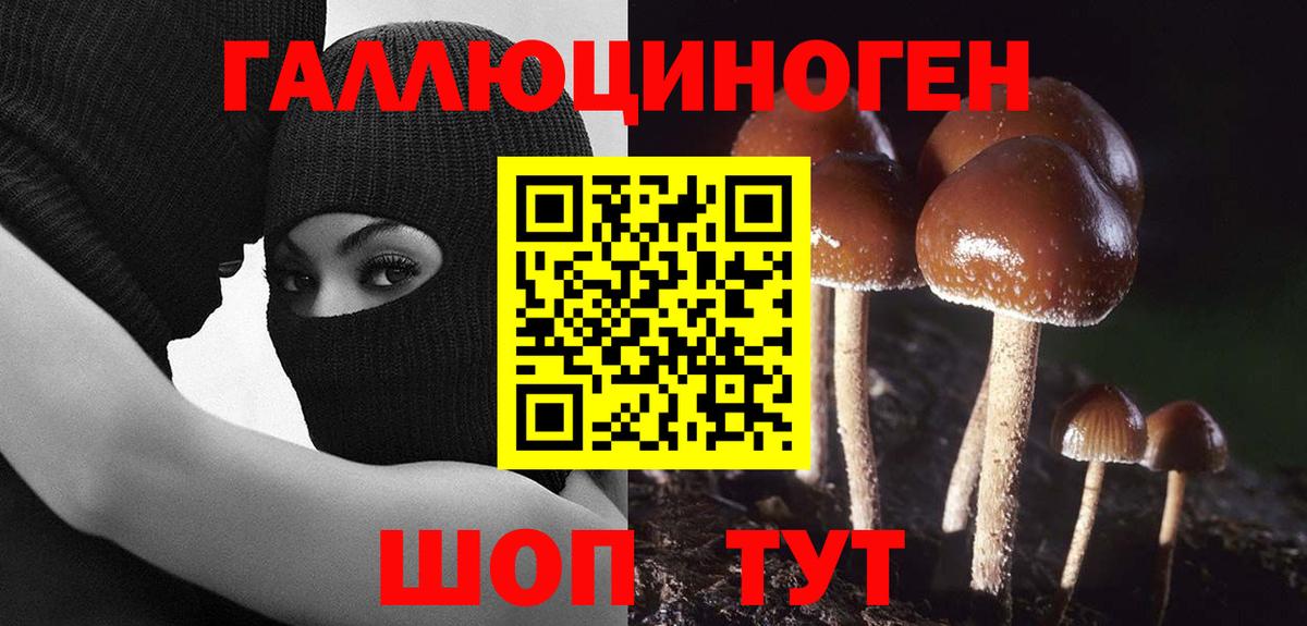 Стерлитамак  Псилоцибиновые грибы MAGIC MUSHROOMS  Вход с VPN 