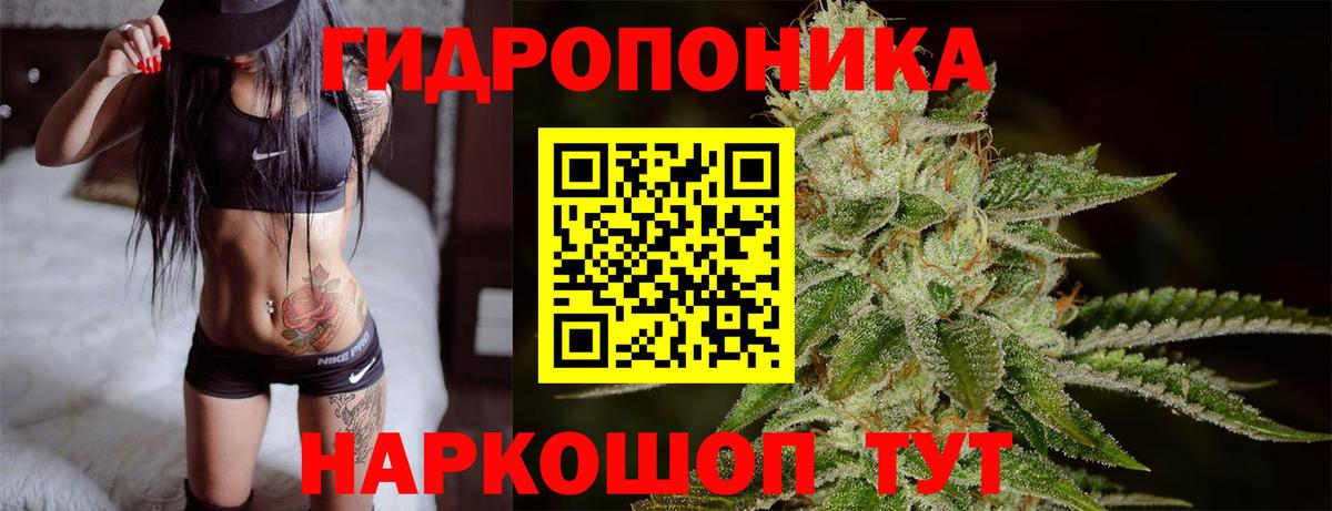 Стерлитамак  Конопля Amnesia  Бошки марихуана гибрид  Марихуана THC 21%  Вход с VPN 